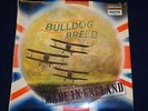 Bulldog Breed
