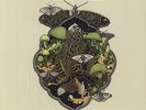 White Hills - Live At Roadburn 2011 [Vinyl New]
