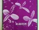 Raven Back to Ohio Blues LP EX/VG+ Rockadelic Psych Private Press