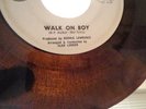 BELMONTS 45,BROWN VINYL,SABINA 513,WALK ON BOY/LET'S CALL IT A DAY,D.J. COPY
