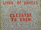 LIVES OF ANGELS elevator to eden LP 10 track. sleeve has seam split to spine (fi