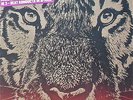 Madlib-Medicine Show: No. 3 Beat Konducta In Africa Silkscreen Ltd Ed. 3x vinyl