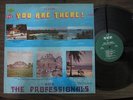 THE PROFESSIONALS You Are There CES Belize Island Funk Salsa Guaguanco LP HEAR