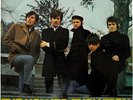 The Hollies LP - Evolution - Deutsche Hansa Records Ausgabe - 76 307 IT
