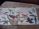 Capitol records Superflex book and record set 1949 Bozo and the Birds