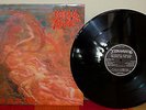 Morbid Angel - Blessed are the sick - LP  -   (P) 1991  black vinyl