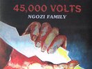 NGOZI FAMILY - 45000 VOLTS Zambia Africa PSYCH HARD FUZZ Chrissy Tembo LP RE