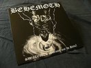 Behemoth 