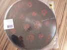 Rane Serato Scratch Live Vinyl GC Picture Disc ltd 12