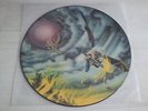 IRON MAIDEN FLIGHT OF ICARUS UK PICTURE DISC LP MINT NWOBHM FREE SHIPPING