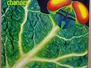 CATAPILLA Changes LP ORIGINAL First Press UK 1972 VERTIGO Swirl Psych Prog