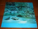 JUANCHO VARGAS montuniando LP KILLER COLOMBIA SALSA GUAGUANDO MOOG PROMO ONLY ??