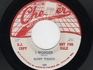'56 Bluesy DooWops/R&B BOBBY TUGGLE/Grp I Wonder/I Know She Loves Me M- HEAR NOW