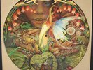 SPYRO GYRA Morning Dance PROMO ONLY PICTURE DISC LP Rare