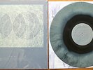 HRVRD - From the Bird's Cage Vinyl LP Coinflip /70 Unplayed Harvard Birds