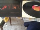 Alice Cooper Pretties for you LP
