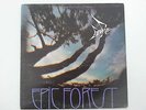 RARE BIRD:EPIC FOREST.G/F.WITH 7