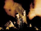 Pearl Jam - Riot Act (2-LP) RARE