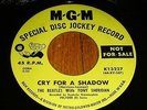 The Beatles -Cry For A Shadow MGM Promo record