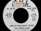 Northern Soul 45   Vibrations   Gonna Get Along Without You Now   Okeh   WLP mp3