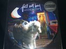 FALL OUT BOY INFINITY ON HIGH Picture Disc vinyl Patrick Stump Pete Wentz