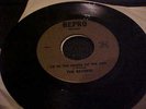 The Reverbs Repro Records 45 Lie in the Shade of the Sun Garage Psych GA