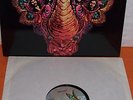 RHINOCEROS  -  SATIN CHICKENS  -
