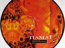 TIAMAT Vinyl Picture 12