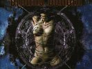 DIMMU BORGIR 12
