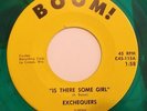 EXCHEQUERS BOOM 115 IS THERE SOME GIRL M- $50.00   FOLK ROCK...GREEN WAX