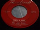 Hear Rare Garage 45: The Lemon Drops   Listen Girl & I Live In The Springtime