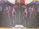 FREEDOM Through the years (UK Vertigo swirl) 1st pressing in VG+ condition