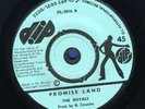 1109 ROYALS-PROMISE LAND-EVERY JAMAICAN IS A REBEL-DIP REGGAE 45 7