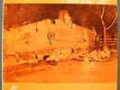 TOP RARE ANDY WARHOL 12