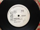 THE SWEET - Fever Of Love  - SOUTH AFRICA - White Label