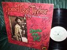 Hound Dog Taylor  
