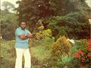 1978 REGGAE - MARTEL ROBINSON - COOL SHADY TREES - UK RAY LP Sound Clip