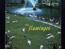 The Flamingos Rare Original 1959 Checker Release Excellent - Near Mint Surfaces