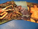 Roxy Music - 3 LP's - Stranded - Siren - Country Life