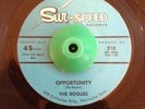 Rare Garage 45 The Rogues Opportunity on Sur-Speed HEAR