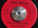 FUNK 45: Gene WIlliams - (Whatever You Do) Do It Good RARE HEAR