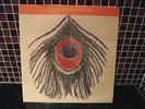 XTC- Rare 