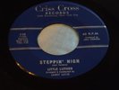 Hear Rare Blues Rocker 45: Little Luther   Du Dee Squat & Steppin' High Criss Cr