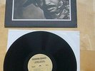 Johnny Jenkins (w. Duane Allman): Ton-Ton Macute (Rare LP)