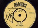Roy Richards - Fat Dog / R Prinipals - Step One Up UK orig 7