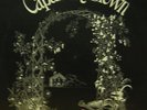 Capability Brown(Vinyl LP)From Scratch-Buddah-CAS 1056-US-Ex/Ex+