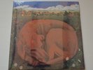 TICKET- Let sleeping dog lie - LP TAPESTRY  Press