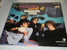 BLOSSOM TOES - THE PSYCHEDELIC SOUND OF BLOSSOM TOES - 1st ITALIAN PRESS LP 1969