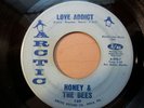 Rare Funk Sweet Soul 45 HONEY & THE BEES love addict ARCTIC listen original