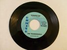 1962 The Thunderbirds SUMMERTIME / SIMMERING E-54 Ermine PROMO 45 rpm Halloween